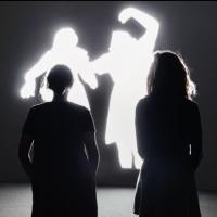 Alfredo Jaar's SHADOWS to Open 2/13 at Galerie Lelong