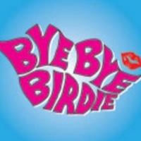 Desert Stages Theatre Presents BYE BYE BIRDIE, Now thru 5/4