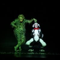 'THE GRINCH' Musical Steals the Holidays at Buell Theatre, Now thru 12/28 Video