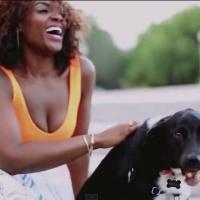 VIDEO: Patrice Covington Debuts 'Life Feels Good Right Now' Music Video Video