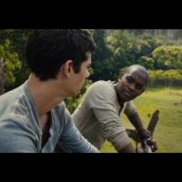 VIDEO: New Clip from THE MAZE RUNNER Video