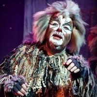 2013 BWW Award Recipient Kelly Briggs Opens in CATS at the Broadway Theatre of Pitman Video
