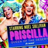 PRISCILLA QUEEN OF THE DESERT to Play Lyceum Theatre, 29 Oct - 2 Nov Video