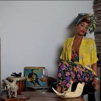 Brooklyn Museum Hosts Target First Saturday Events - Music, Visual Arts, Poetry, Danc