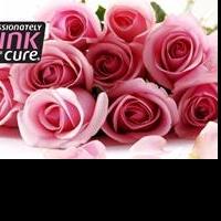 Mount View Hotel & Spa Napa Valley - Passionately Pink Getaway Fundraiser for Breast 