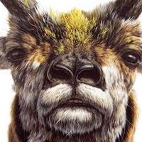 TAXONOMY Opens at Arsenal Gallery Video