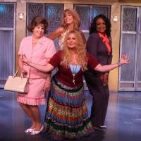 Photo Flash: MENOPAUSE THE MUSICAL at PPAC This Weekend Video
