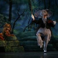New York Theatre Ballet to Present CARNIVAL OF ANIMALS and SLEEPING BEAUTY'S WEDDING, Video