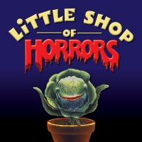 Music Theatre of Connecticut MainStage in Norwalk Presents LITTLE SHOP OF HORRORS Video