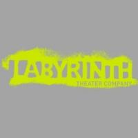 Mimi O'Donnell Named Artistic Director at Labyrinth Theater Company Video