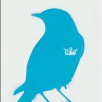East Valley Children's Theatre Opens THE BLUEBIRD PRINCE Today
