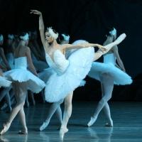 St. Petersburg Ballet Presents SWAN LAKE This Weekend Video