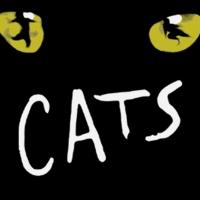 CATS Extends Through July in Toronto Video