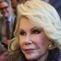 BWW TV: On the Red Carpet at A TIME TO KILL with Joan Rivers, Bobby Cannavale & More! Video