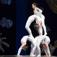Cirque Shanghai to Return to Chicago this Summer with 'WARRIORS,' Begin. 5/21 Video