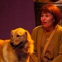 Playhouse on the Square Opens ANNIE, 11/16 Video
