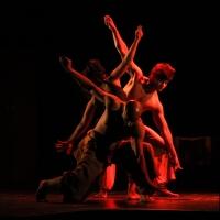 NCPA's Contemporary Dance Season Returns, Now thru Dec 19 Video
