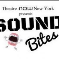 Theatre Now New York's 2013 SOUND BITES FESTIVAL Picks Top 10 Shows; Set for 12/9 Video