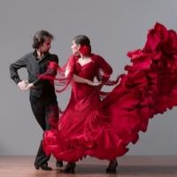 Dance Theatre in Westchester, Nai-Ni Chen Dance, Moscow City Ballet and More Set for  Video