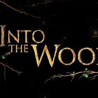 BWW Previews: Local Stars join INTO THE WOODS at Firehouse Theatre