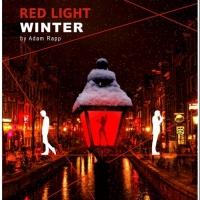 BWW Reviews: HotCity Theatre's RED LIGHT WINTER