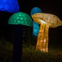 LIGHTSCAPES Launches 5/2 at Van Cortlandt Manor