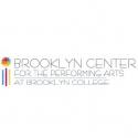 Brooklyn Center for the Performing Arts Presents HOW I BECAME A PIRATE, 1/6 Video