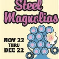 The City Theatre Stages STEEL MAGNOLIAS, Now thru 12/22