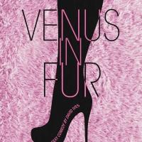 South Bend Civic Theatre to Stage VENUS IN FUR, 4/10-26