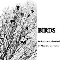 Provocative New Play BIRDS Premieres at This/That Festival 10/17 Video