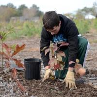 NYC Parks Teams with NY/NJ Super Bowl Host Committee, NFL to Plant 20,000 Trees in Ro Video