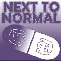 NEXT TO NORMAL Begins Tonight at the Players' Ring Video