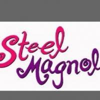 STEEL MAGNOLIAS Opens November 22 at The City Theatre Video