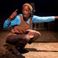 BWW Reviews: Children's Theatre Company Brings the Novel SEEDFOLKS to Life in a Mesme Video