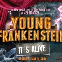 Palo Alto Players Present YOUNG FRANKENSTEIN, Now thru 5/11 Video