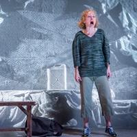 Photo Flash: First Look at Victor Mack, Dana Millican and More in Artists Rep's ITHAK Video