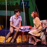 BWW Reviews: American Theater Group's BUBBLE BOY A New Musical Charms at UC PAC Video