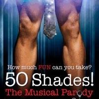 50 SHADES! THE MUSICAL PARODY Coming to DPAC in January 2015 Video