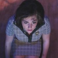 Photo Flash: First Look at New Line Theatre's NIGHT OF THE LIVING DEAD Musical Video
