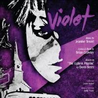 BWW Reviews: Self-Acceptance and Self-Discovery in VIOLET at Street Theatre Company