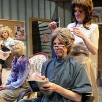 Photo Flash: First Look at Missoula Community Theatre's STEEL MAGNOLIAS Video