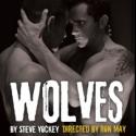 Stray Cat Theatre Unveils Steve Yockey's WOLVES World Premiere Tonight Video