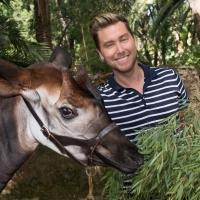 Lance Bass, Tom LaBonge & More to be Honored at LA Zoo's BEASTLY BALL, 6/20