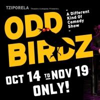 Tziporela's ODD BIRDZ Begins Tonight at The Players Theatre