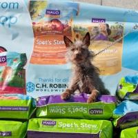 Freekibble.com and Ellen DeGeneres' Halo Pet Food's 'Inspire Tour' Will Deliver 500,0 Video
