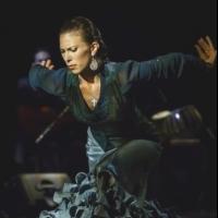 Photo Flash: Sneak Peek - Forever Flamenco to Welcome Joey Heredia & Company to the F Video