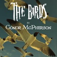 Quotidian Theatre Company to Present D.C. Premiere of THE BIRDS, 7/12-8/11 Video
