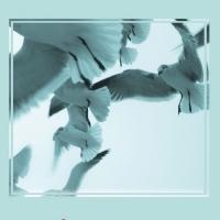 Shyrell Wisdom Completes First Book 'Wisdom Says Poetry'