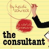 Long Wharf Theatre Presents the World Premiere of THE CONSULTANT, Now thru 2/9 Video
