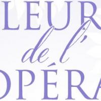The Houston Grand Opera's 2014 Opera Ball, Fleurs de l'Opéra, Raises Over $2 Million Video